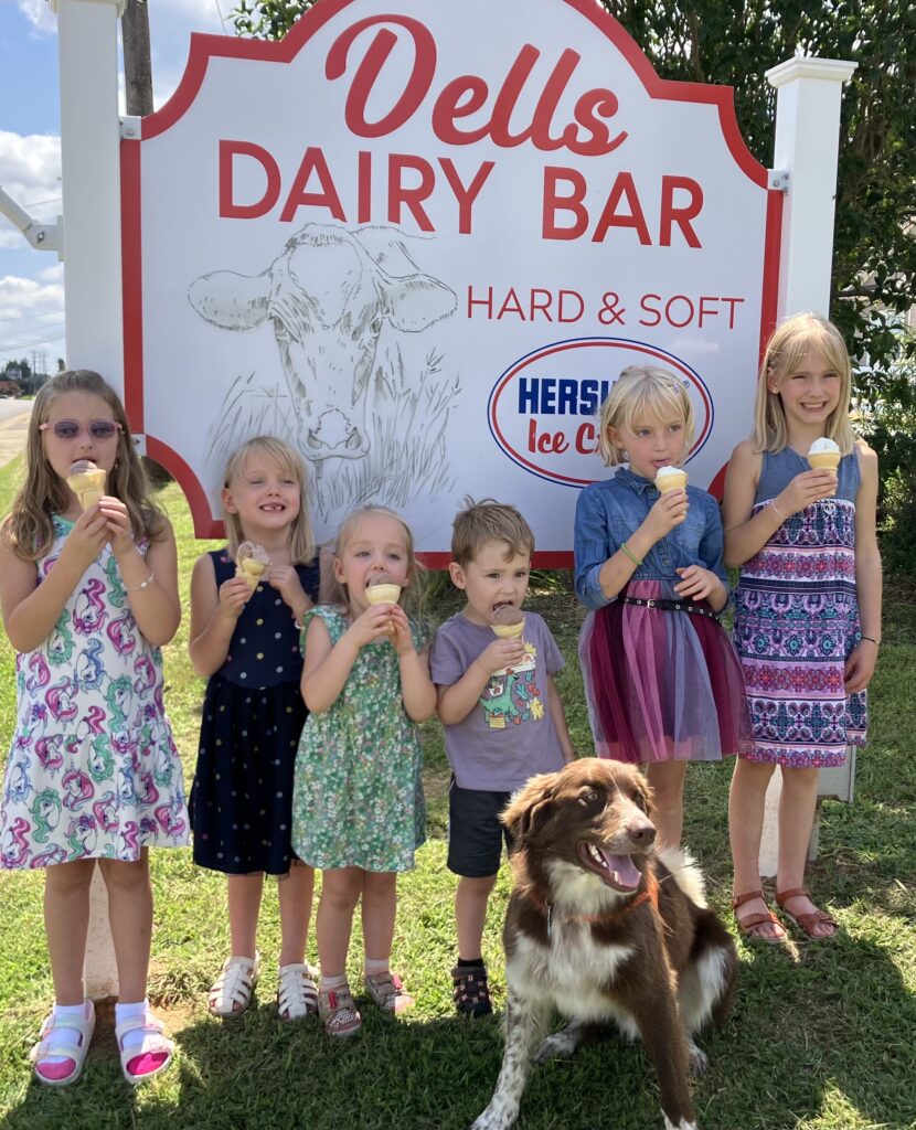 Dell's dairy bar front page header image
